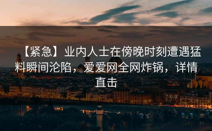 【紧急】业内人士在傍晚时刻遭遇猛料瞬间沦陷，爱爱网全网炸锅，详情直击