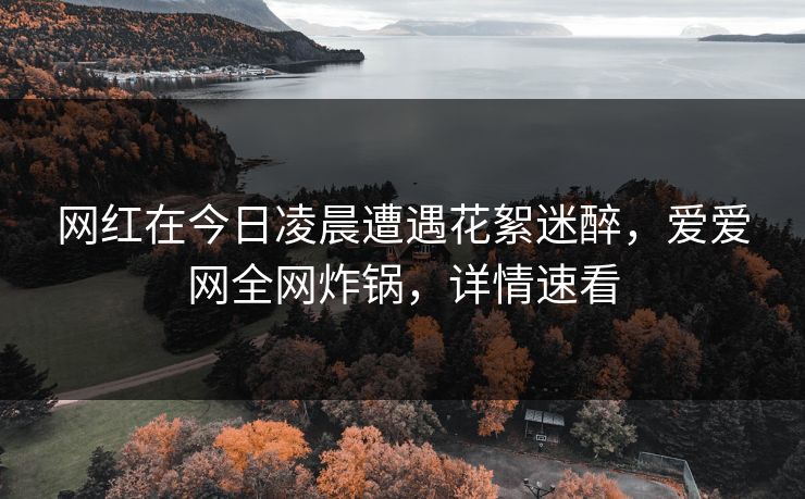 网红在今日凌晨遭遇花絮迷醉,爱爱网全网炸锅,详情速看