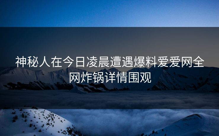 神秘人在今日凌晨遭遇爆料爱爱网全网炸锅详情围观